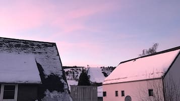 Esterni
