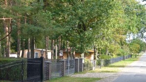 Eine Wohnstraße gesäumt von Bäumen und einem schwarzen Metallzaun.