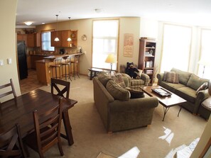 TV, fireplace, DVD player