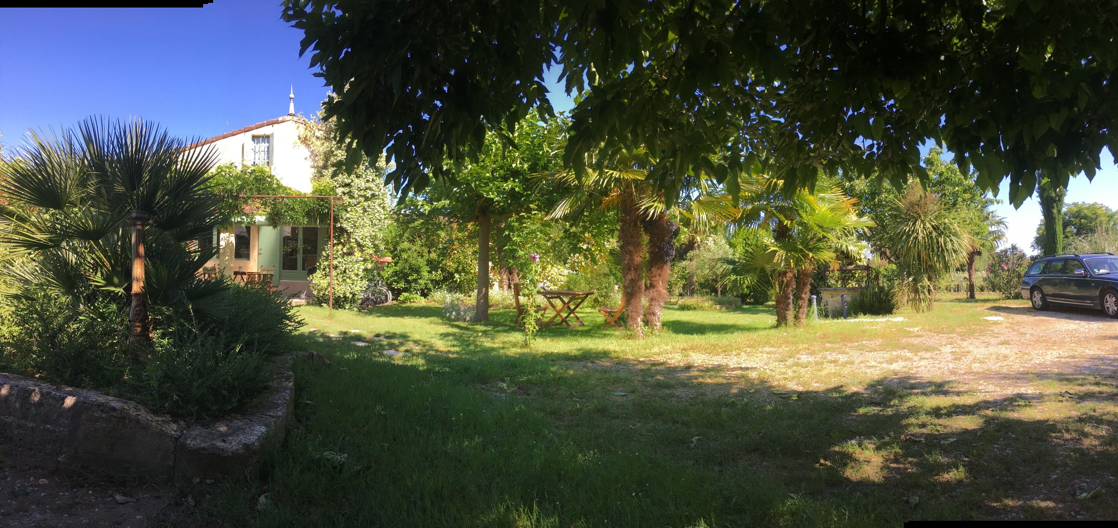 A garden with a white building, palm trees, and a car parked nearby.