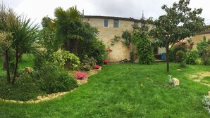 Ein Garten mit verschiedenen Pflanzen und Bäumen, eine Steinmauer und ein Gebäude im Hintergrund.