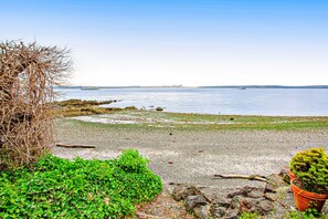 A beach with a rocky shoreline, a potted plant, and a distant city skyline.