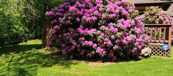 Vintage Mtn Retreat con Carácter y Carisma a solo $ 90. 00 una noche