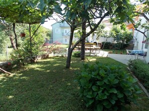 المنطقة المحيطة بالمنشأة