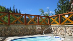 A swimming pool with a stone wall and a wooden fence. There is a sign indicating a maximum depth of 29 feet and a no diving warning.
