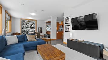 Televisión, chimenea, reproductor de DVD y estéreo