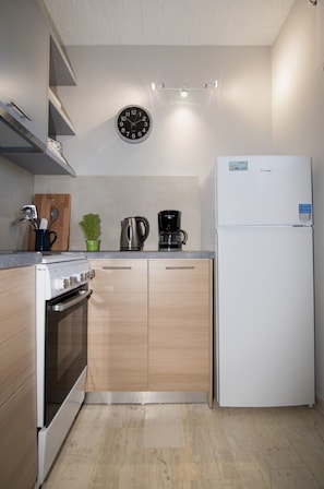 Fridge, oven, coffee/tea maker, electric kettle