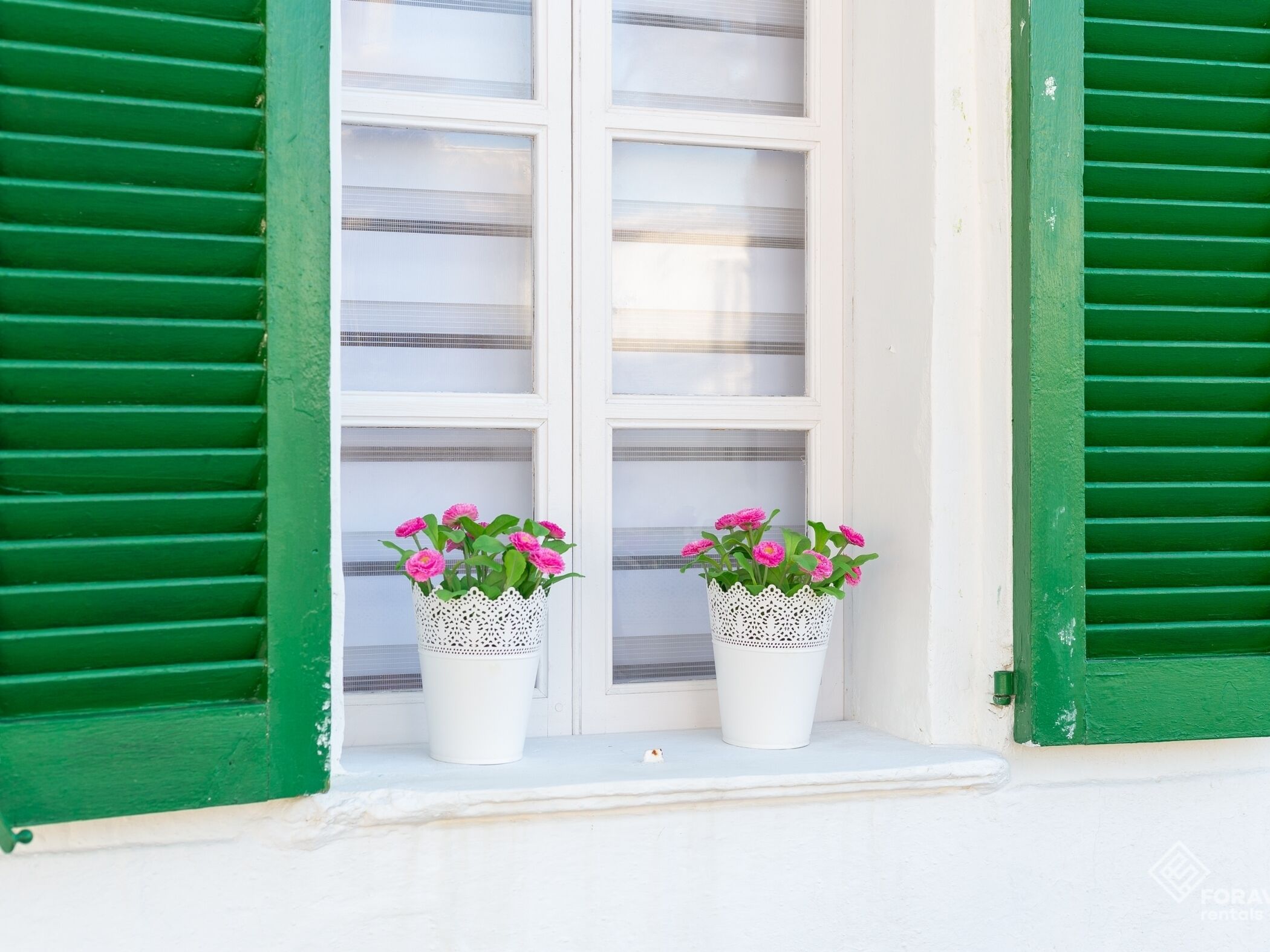 A window with green shutters and two white pots with pink flowers on the ledge.