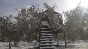 Exterior - Tree House in an organic farm (Enna)