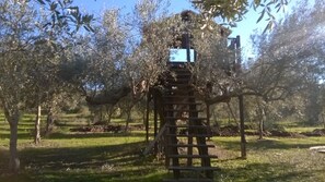 Property grounds - Tree House in an organic farm (Enna)
