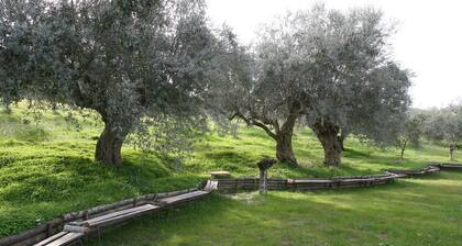 Tree House in an organic farm