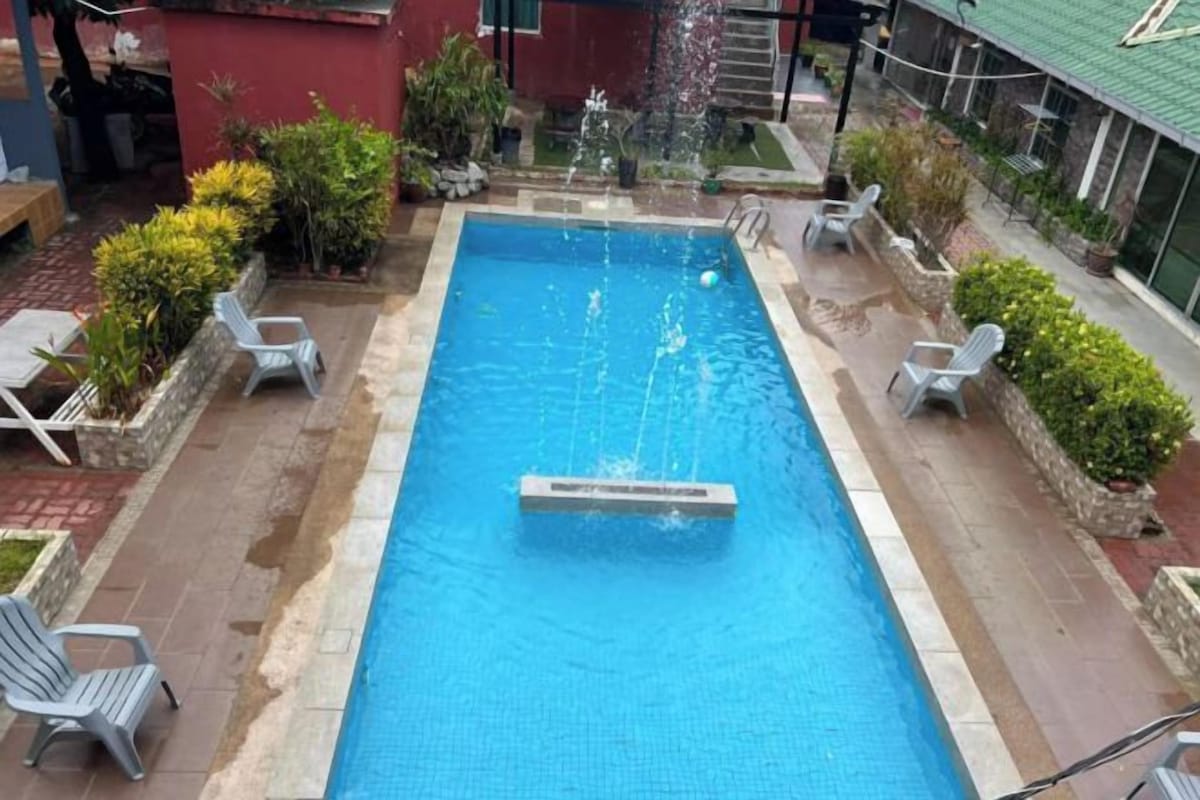 En rektangulär swimmingpool med en hoppställ, omgiven av krukväxter och vita solstolar.