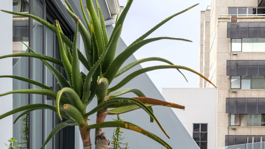 Labotessa Luxury Boutique Hotel