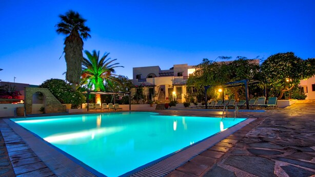 A rectangular swimming pool with a stone border, surrounded by lounge chairs and palm trees.