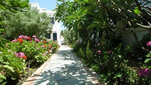 A pathway lined with flowering plants and a building in the background.