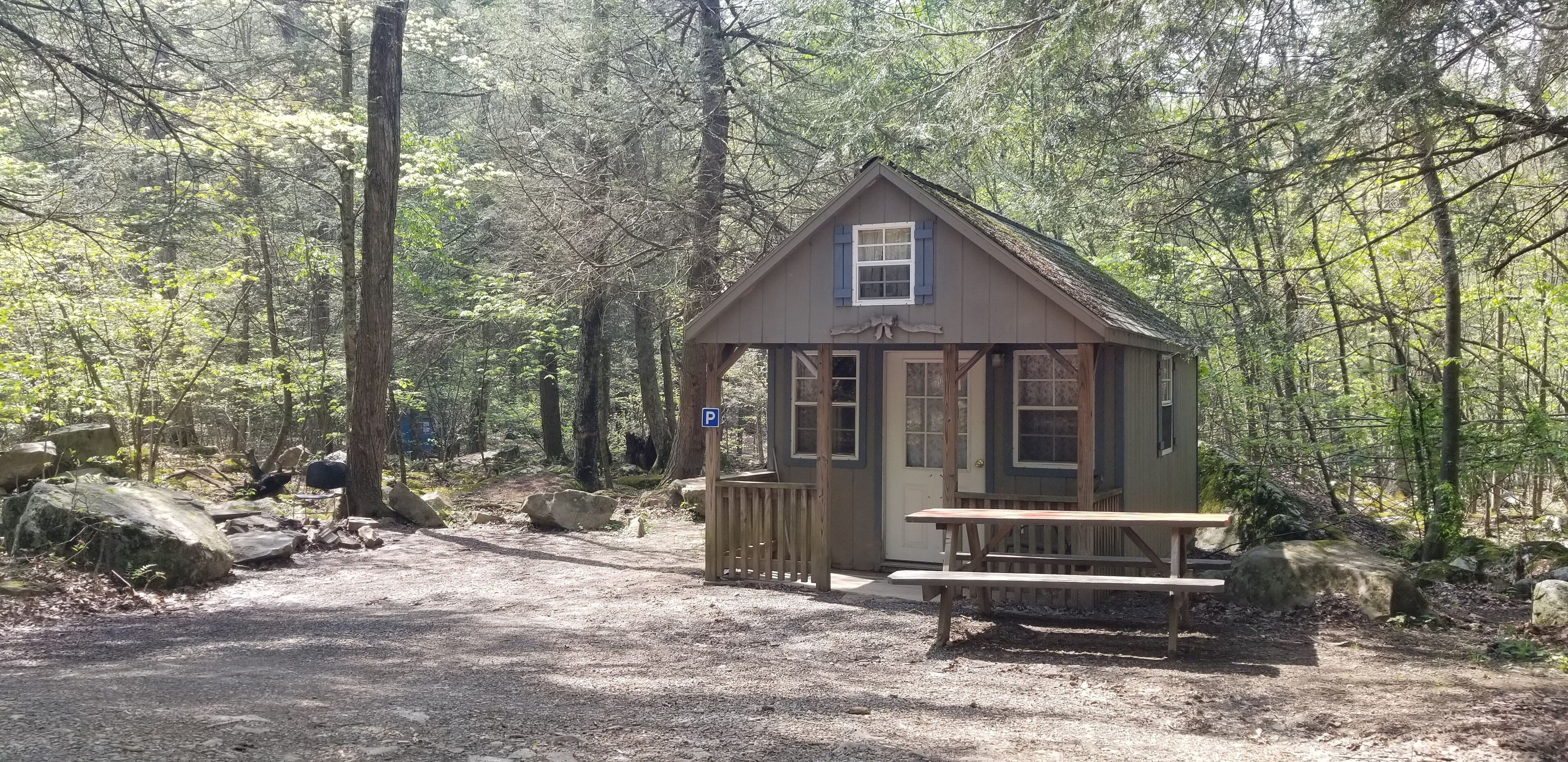 Enjoy Nature At Its Finest-Rustic Furnished Cabin W/ Electricity at Abrams Creek