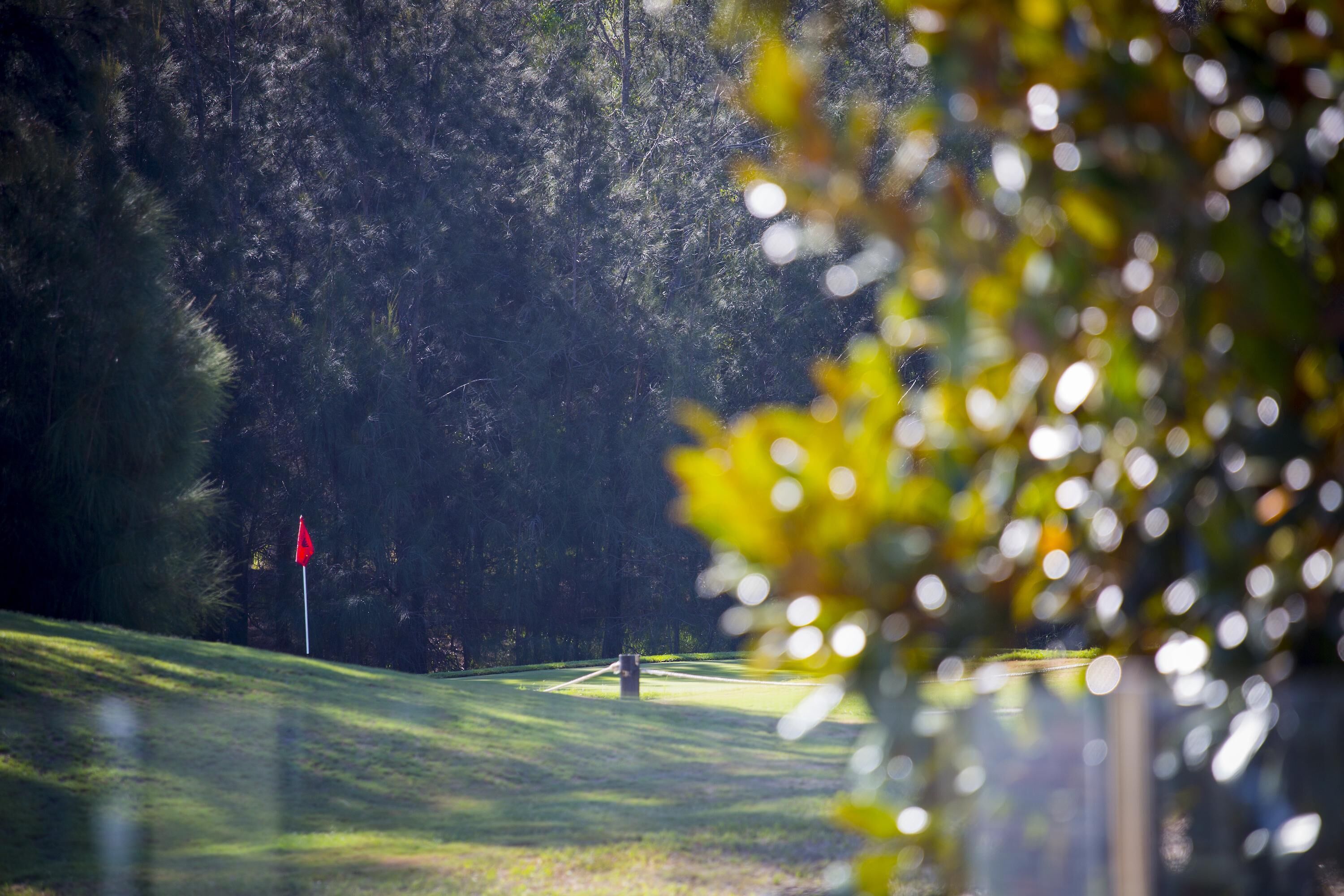 Potteroo - Stylish 4 bedroom family friendly home with private pool — image 17