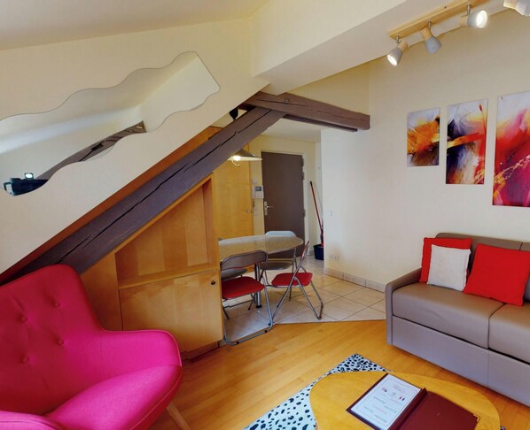 TV - loft pelletiers city center up to 4 (Strasbourg)