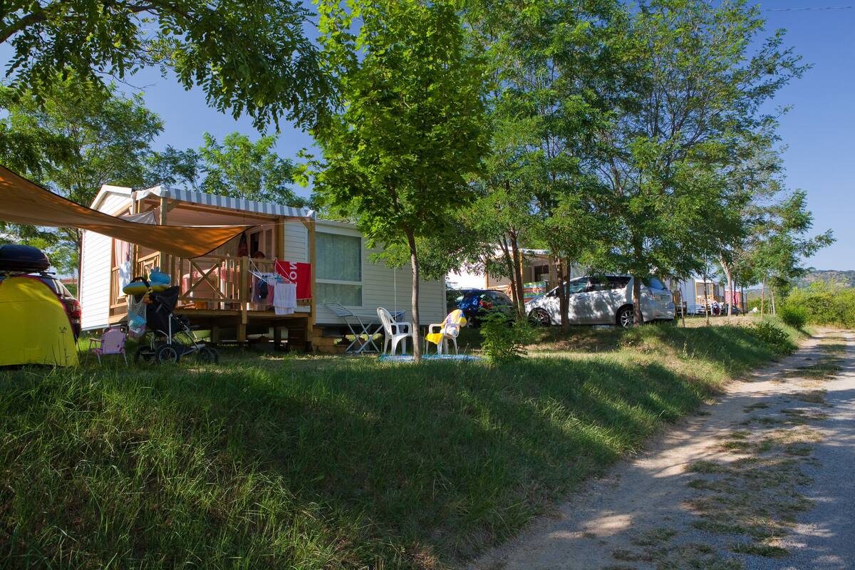 A campsite with RVs parked along a dirt path, surrounded by trees and grassy areas.