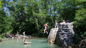 A natural setting with a rocky area and a body of water, surrounded by dense greenery.