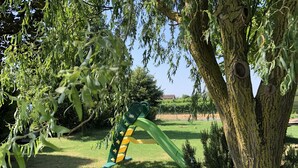 Een speeltuin met een glijbaan en schommels, omringd door bomen en gras.