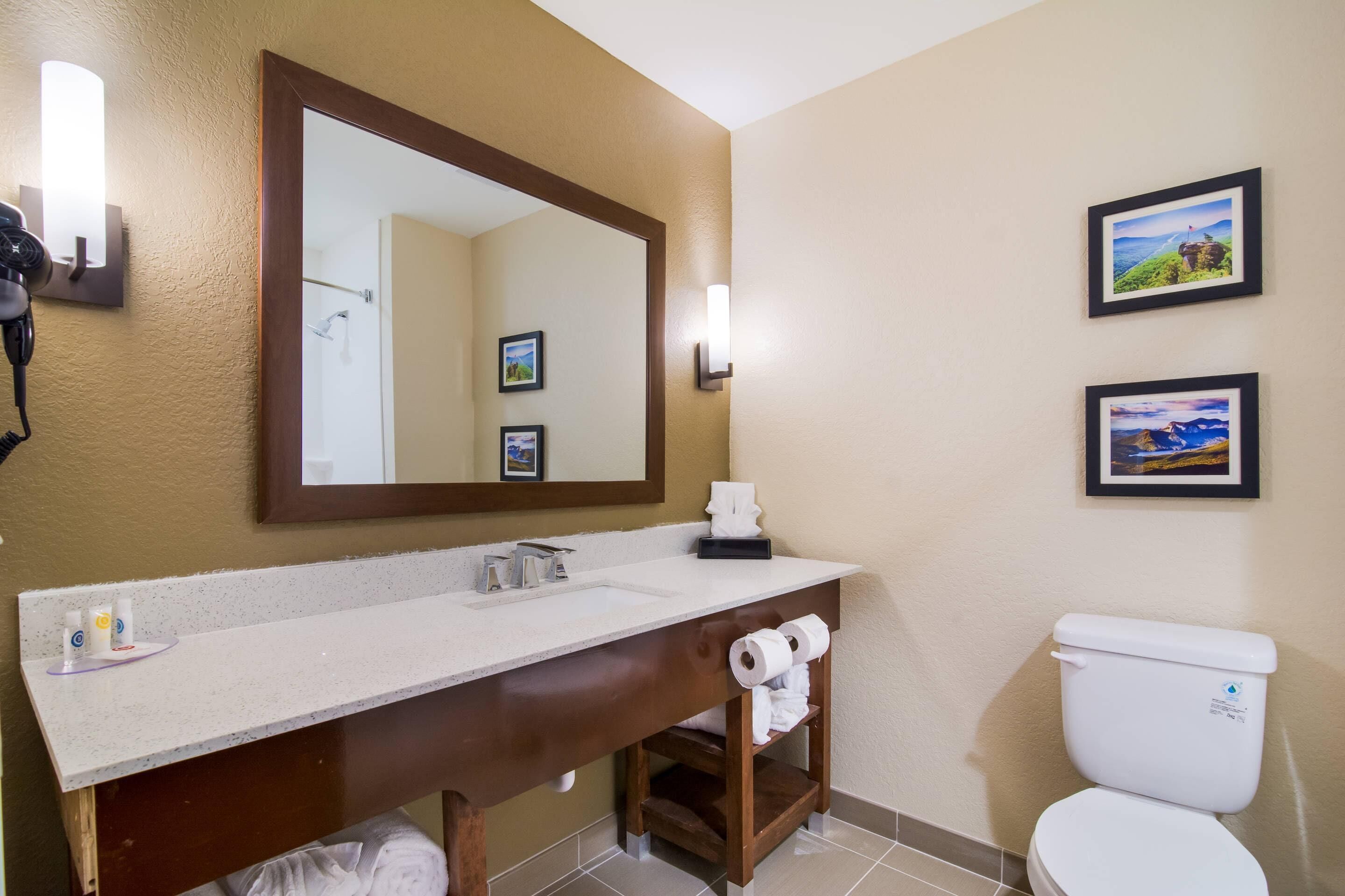 Un baño con un espejo grande, un lavamanos, un inodoro y dos cuadros en la pared.