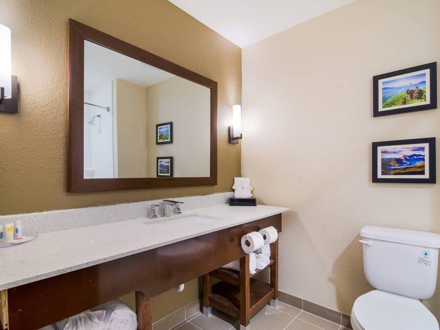A bathroom with a large mirror, a sink, a toilet, and two framed pictures on the wall.