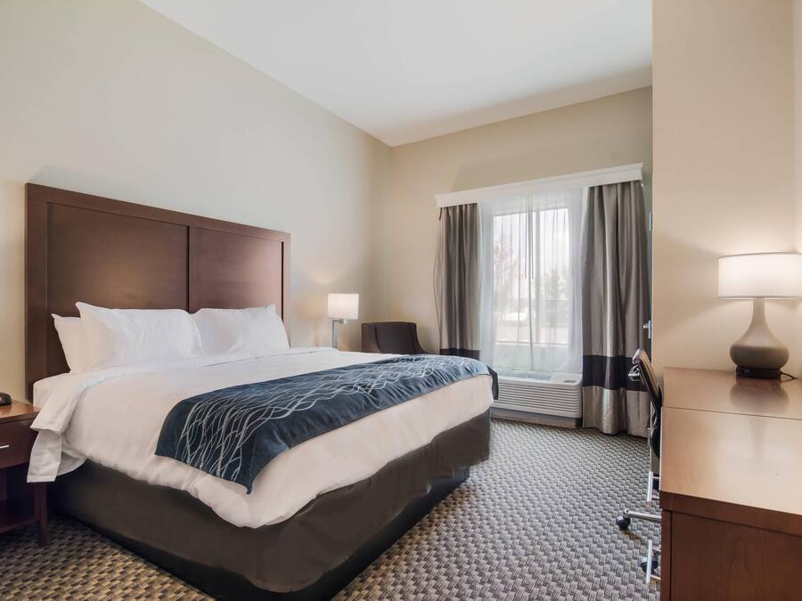 Standard Room, 1 King Bed, Non Smoking | Desk, laptop workspace, blackout drapes, iron/ironing board