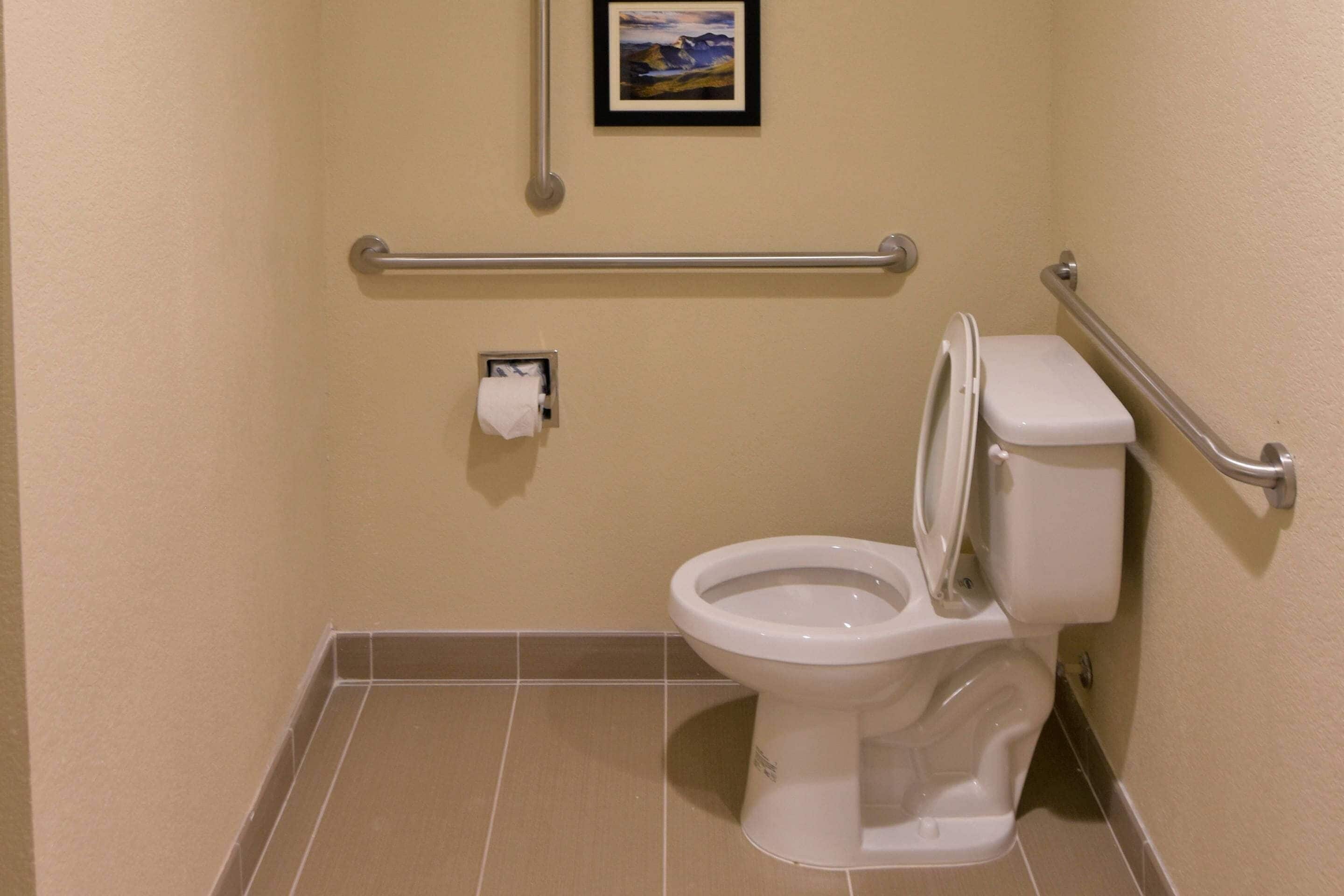 Un baño con inodoro, barras de apoyo, un cuadro en la pared y dispensador de toallas de papel.