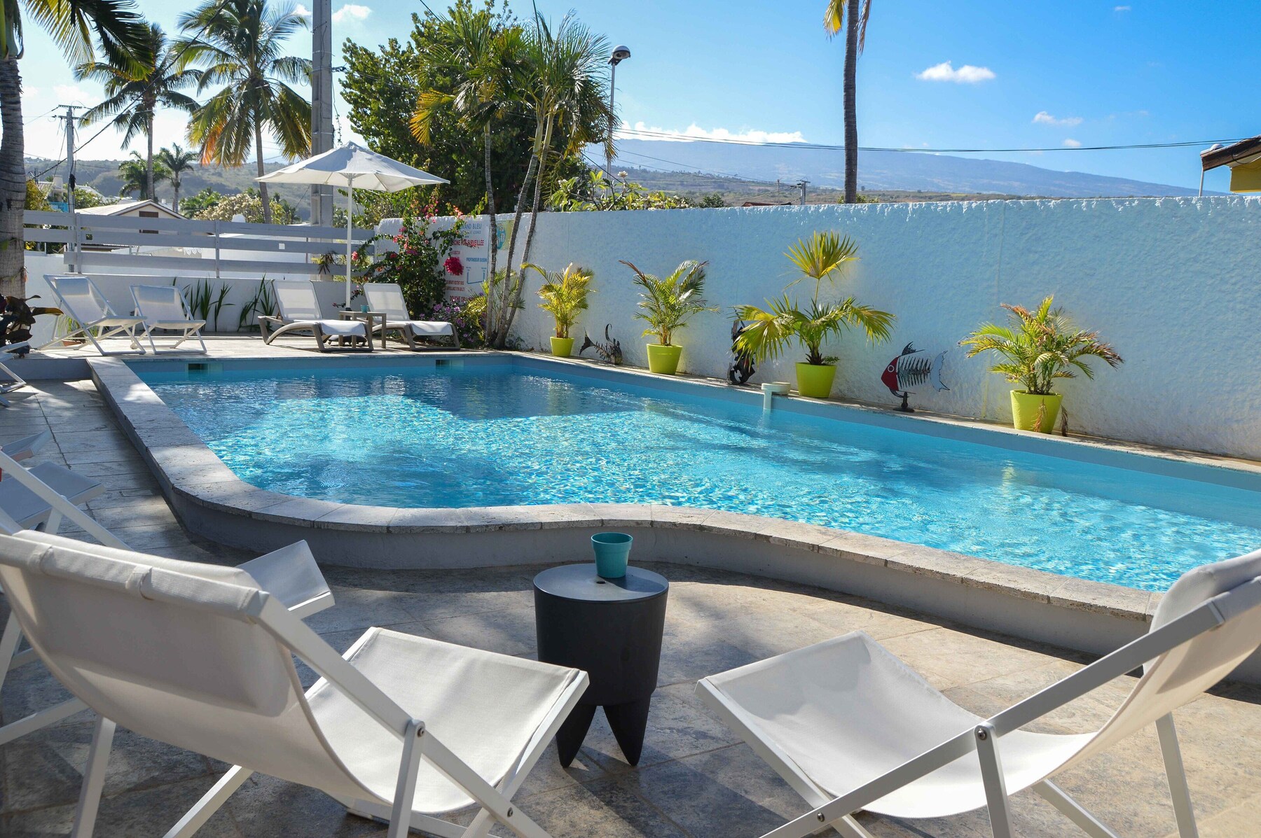 Piscine extérieure, parasols de plage, chaises longues
