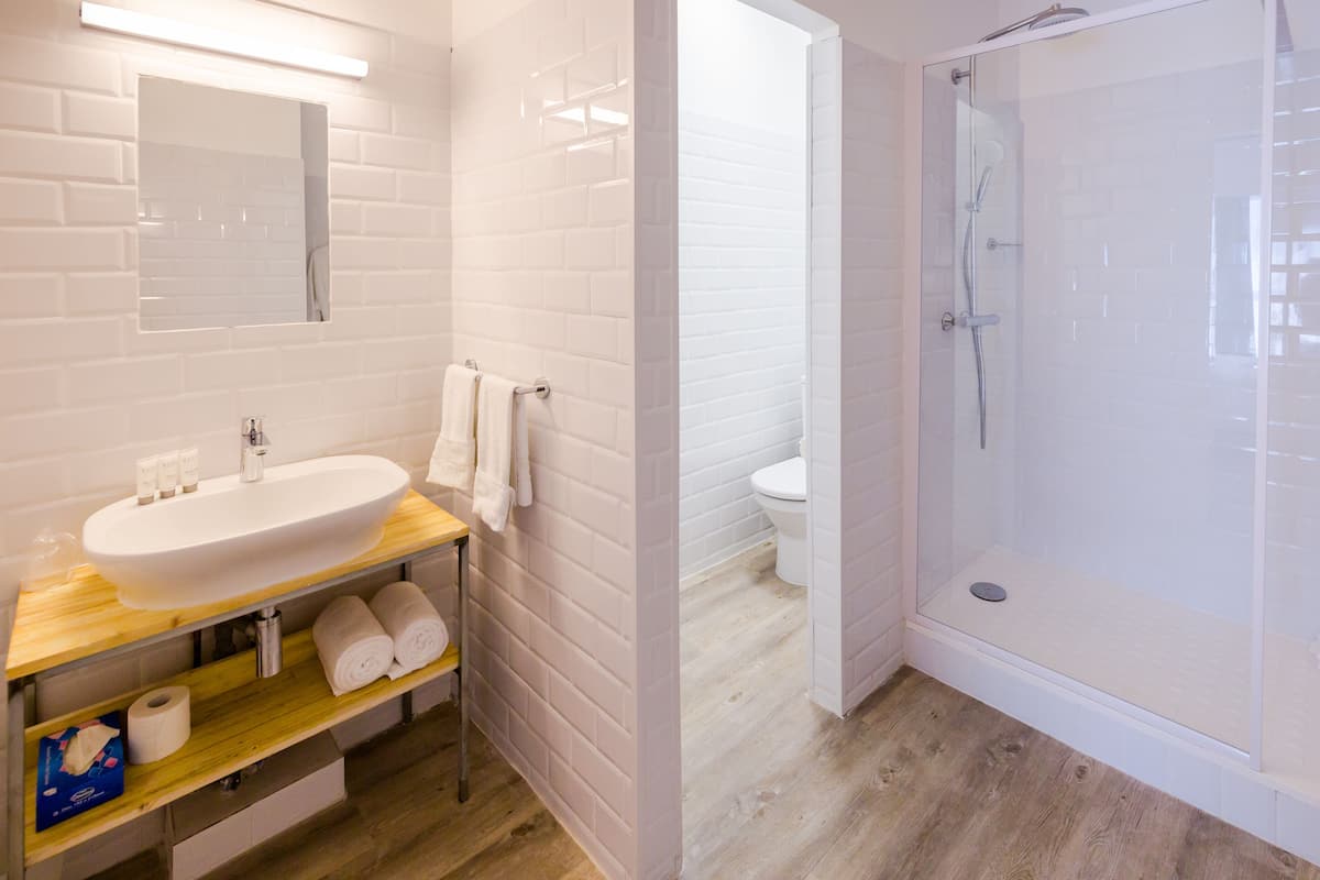 shower, free toiletries, hair dryer, towels