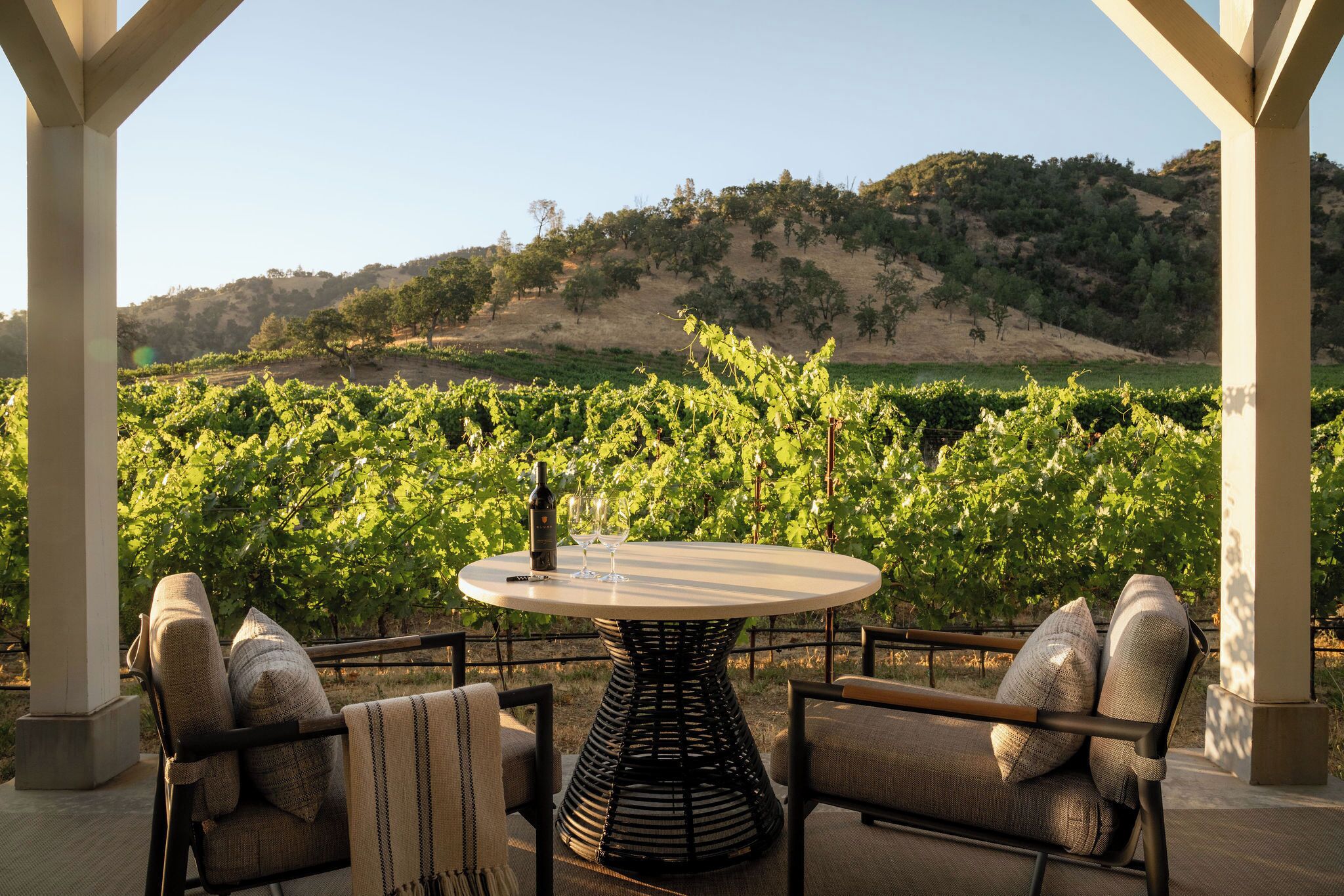 Værelse - 1 kingsize-seng (Vineyard) | Terrasse/gårdhave