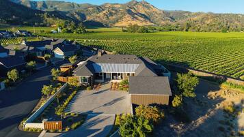 A residential area with modern houses, a large building with a sloped roof, and vineyards in the background.