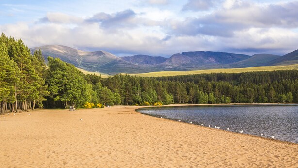 A beach with a lake, surrounded by mountains and dense forests.