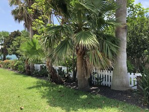 Parco della struttura