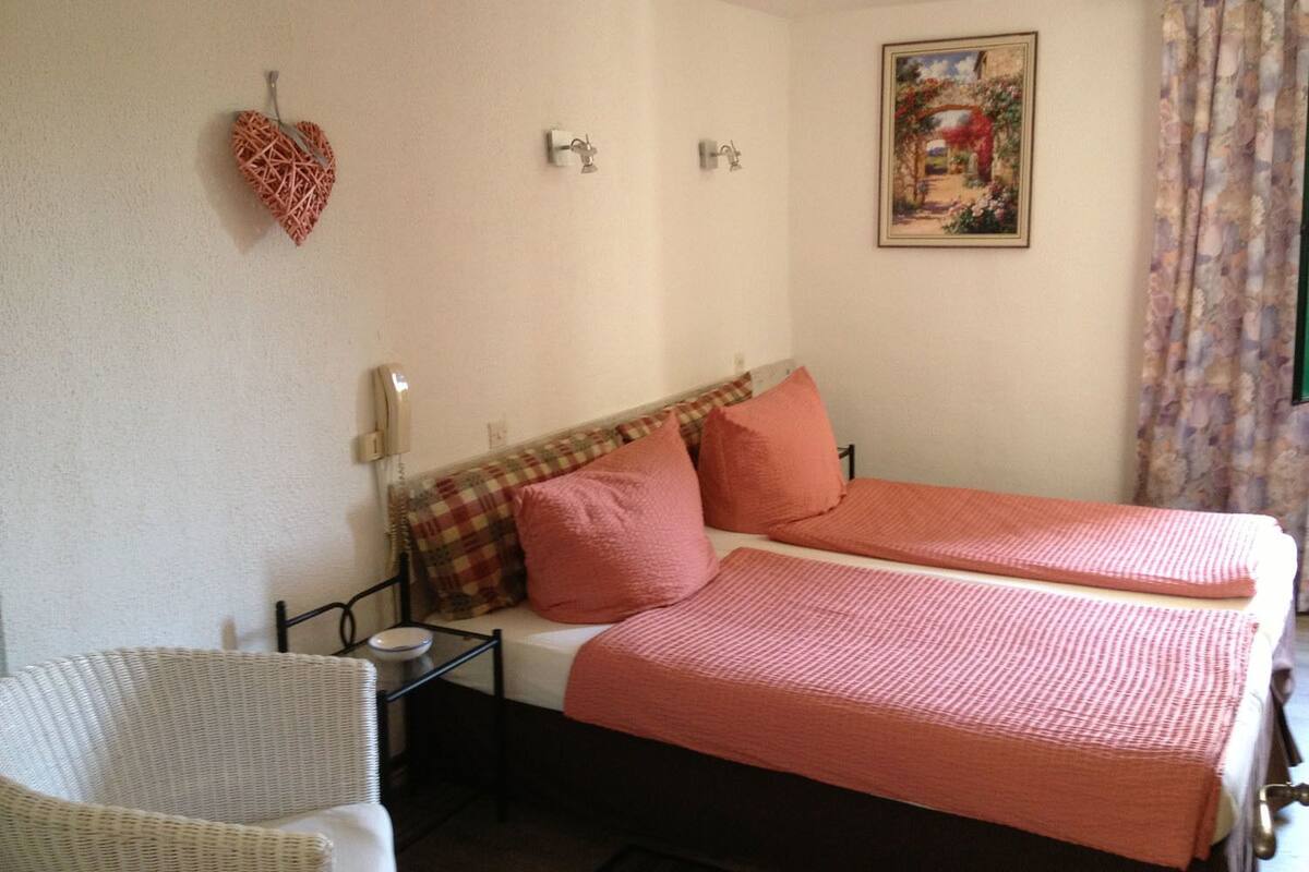 Habitació doble | Escriptori, planxa i posts de planxar, wifi gratuïta i roba de llit