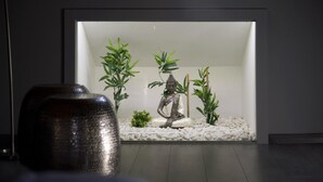 A framed aquarium with a Buddha statue, bamboo plants, and white pebbles. - Lar de Donas (Meira)
