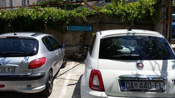 Free self parking