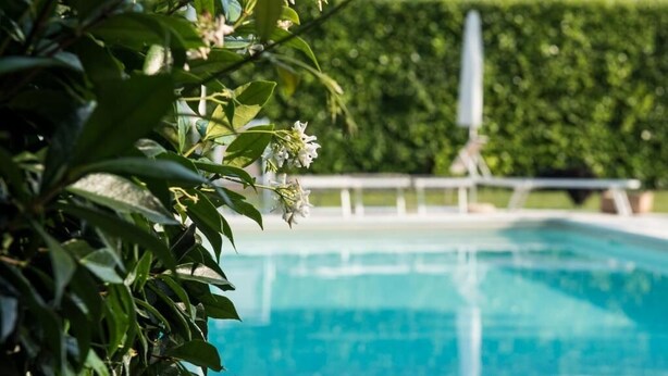 A clear view of a swimming pool surrounded by lush greenery and a neatly trimmed hedge. - Azienda Agricola Le Colombare (Nogarole Rocca)