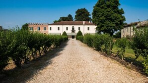 A gravel path leading to a building with a symmetrical facade, surrounded by neatly trimmed hedges and trees. - Azienda Agricola Le Colombare (Nogarole Rocca)
