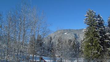 A snowy landscape with trees and a mountain in the background.