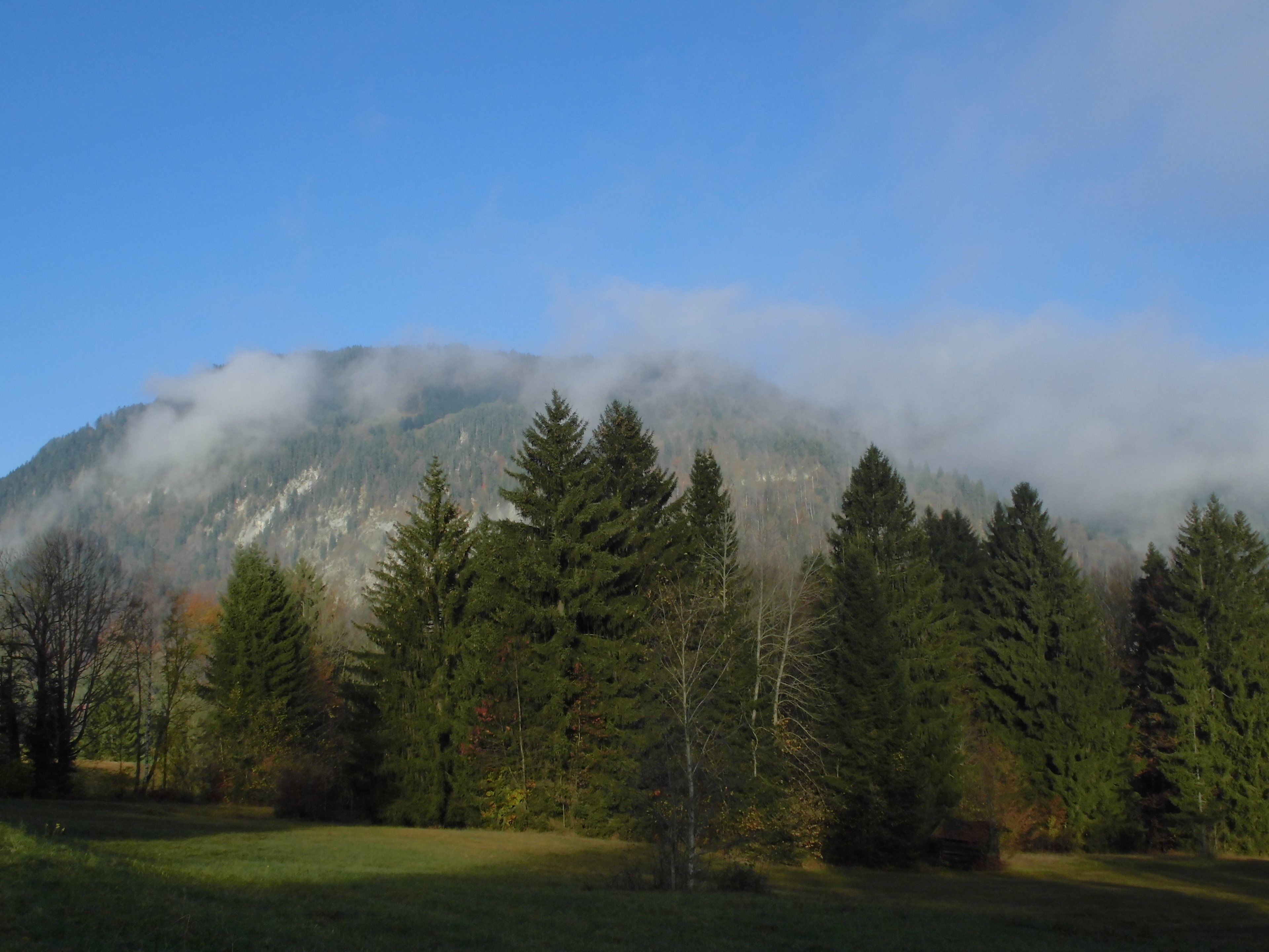 A mountainous landscape with dense forests and a clear sky.