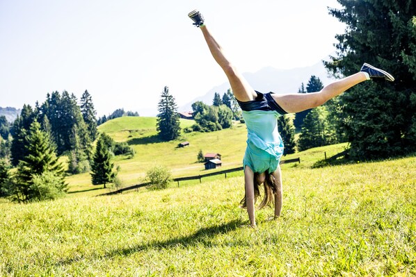 A person performing a handstand in a grassy field with a mountainous background. - DJH Jugendherberge Oberstdorf-Kornau - Hostel (Oberstdorf)