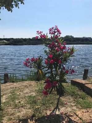 Exterior - Agriturismo Quietovivere (Comacchio)