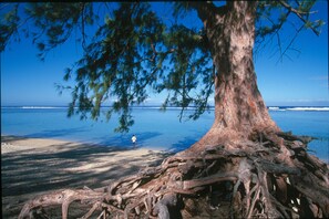 Beach - Leu Bleu Austral (Saint-Leu)