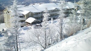 A multi-story building with a snow-covered roof, surrounded by snow-covered trees and a mountainous backdrop. - Perfect For Large Families & Groups - Excellent Location (Snowshoe)