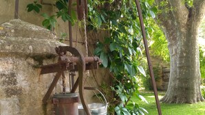 An old-fashioned water pump with metal buckets and a watering can, set against a stone wall with greenery. - Le rêve d'Emma Chambres d'hôtes (Plan-d'Orgon)