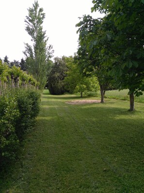 Garden - Le rêve d'Emma Chambres d'hôtes (Plan-d'Orgon)