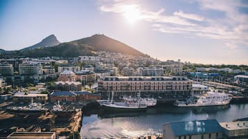 A coastal cityscape with a prominent hill, marina with boats, and a variety of buildings.