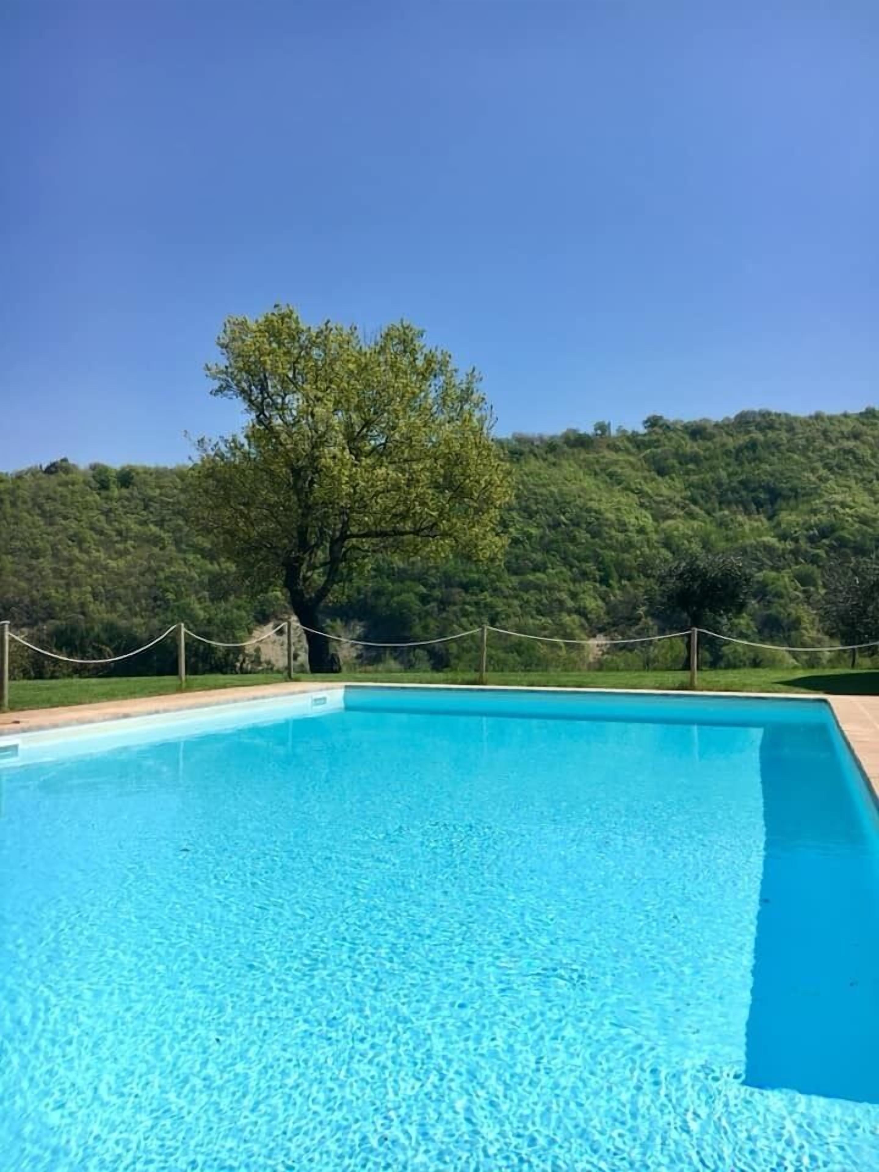 A rectangular swimming pool with clear blue water, surrounded by a low fence and a rope barrier. In the background, there is a hill covered with dense green trees.
